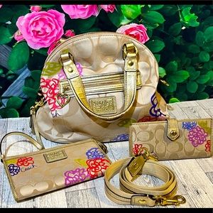 Signature C Daisy with Matching Wallets (x2) Multicolor Canvas Cross Body Bag